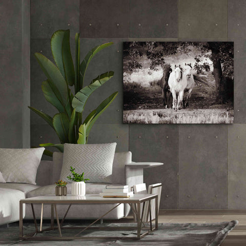 Image of 'Three Wild Horses Sepia' by Debra Van Swearingen, Canvas Wall Art,54 x 40