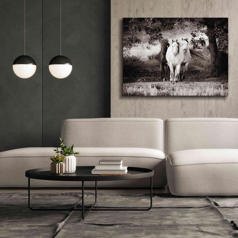 Image of 'Three Wild Horses Sepia' by Debra Van Swearingen, Canvas Wall Art,54 x 40
