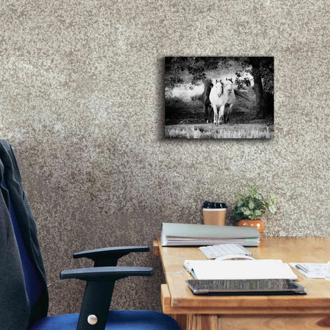 Image of 'Three Wild Horses BW' by Debra Van Swearingen, Canvas Wall Art,16 x 12