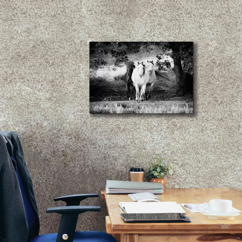 Image of 'Three Wild Horses BW' by Debra Van Swearingen, Canvas Wall Art,26 x 18