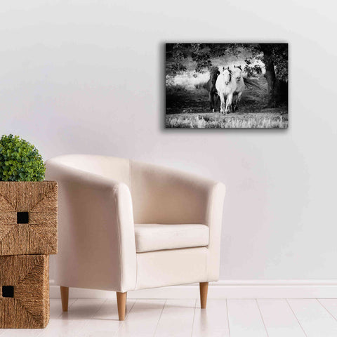Image of 'Three Wild Horses BW' by Debra Van Swearingen, Canvas Wall Art,26 x 18