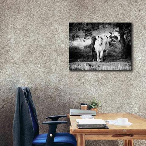 Image of 'Three Wild Horses BW' by Debra Van Swearingen, Canvas Wall Art,34 x 26
