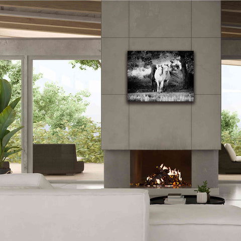 Image of 'Three Wild Horses BW' by Debra Van Swearingen, Canvas Wall Art,34 x 26