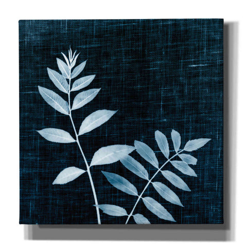 Image of 'Leaves on Linen II' by Debra Van Swearingen, Canvas Wall Art,12x12x1.1x0,18x18x1.1x0,26x26x1.74x0,37x37x1.74x0
