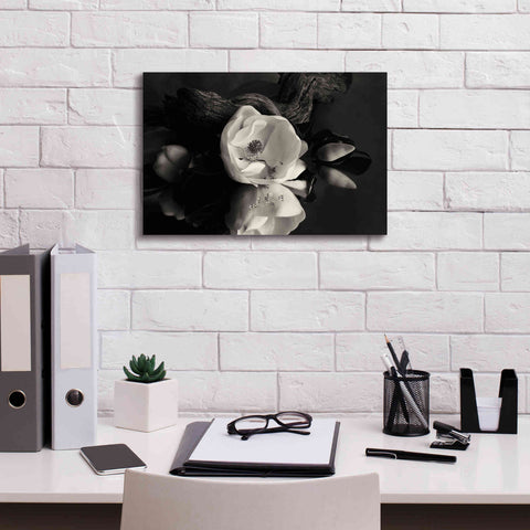 Image of 'Magnolia and Driftwood I' by Debra Van Swearingen, Canvas Wall Art,18 x 12