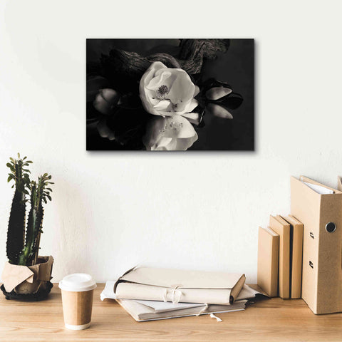Image of 'Magnolia and Driftwood I' by Debra Van Swearingen, Canvas Wall Art,18 x 12