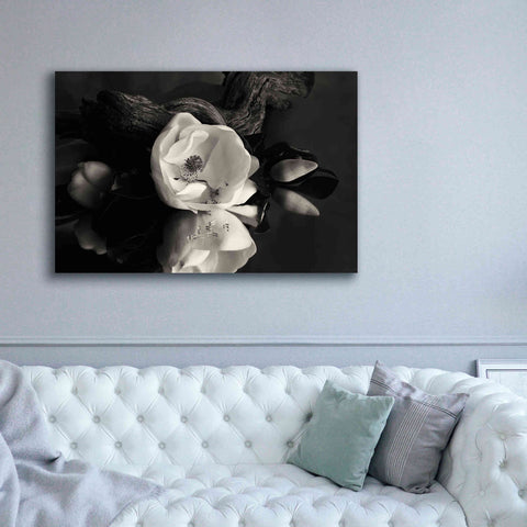 Image of 'Magnolia and Driftwood I' by Debra Van Swearingen, Canvas Wall Art,60 x 40