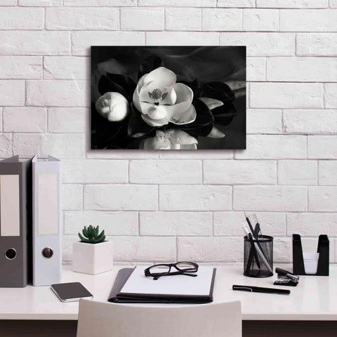 Image of 'Magnolia in Bloom' by Debra Van Swearingen, Canvas Wall Art,18 x 12