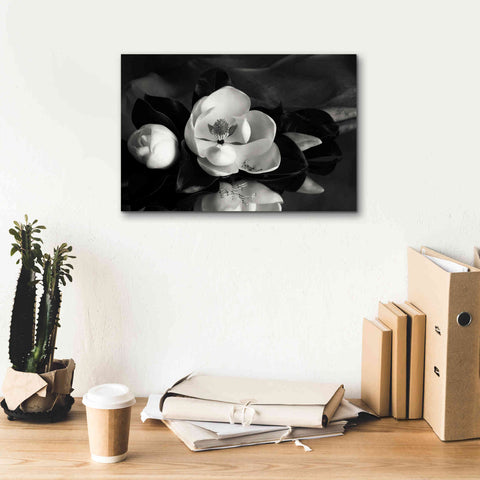 Image of 'Magnolia in Bloom' by Debra Van Swearingen, Canvas Wall Art,18 x 12