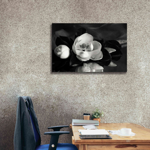 Image of 'Magnolia in Bloom' by Debra Van Swearingen, Canvas Wall Art,40 x 26