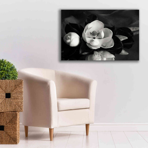 Image of 'Magnolia in Bloom' by Debra Van Swearingen, Canvas Wall Art,40 x 26