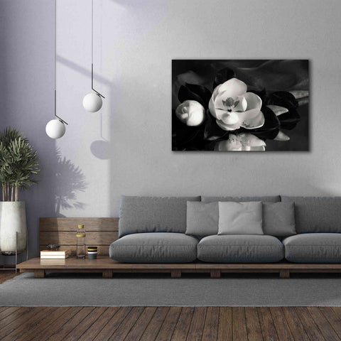 Image of 'Magnolia in Bloom' by Debra Van Swearingen, Canvas Wall Art,60 x 40