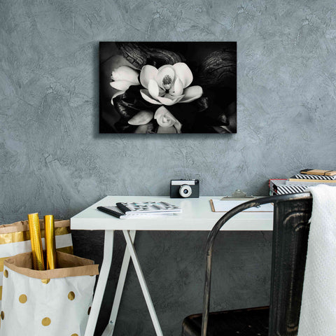 Image of 'Magnolia and Driftwood II' by Debra Van Swearingen, Canvas Wall Art,18 x 12