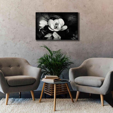 Image of 'Magnolia and Driftwood II' by Debra Van Swearingen, Canvas Wall Art,40 x 26