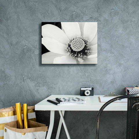 Image of 'Lotus Flower IV' by Debra Van Swearingen, Canvas Wall Art,16 x 12