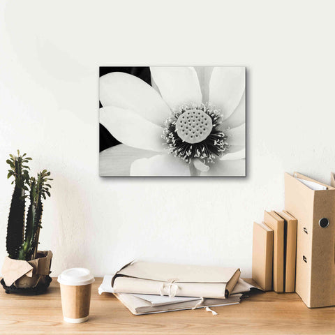 Image of 'Lotus Flower IV' by Debra Van Swearingen, Canvas Wall Art,16 x 12