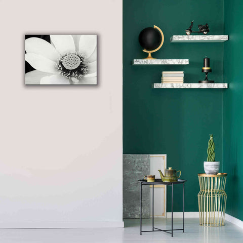 Image of 'Lotus Flower IV' by Debra Van Swearingen, Canvas Wall Art,26 x 18