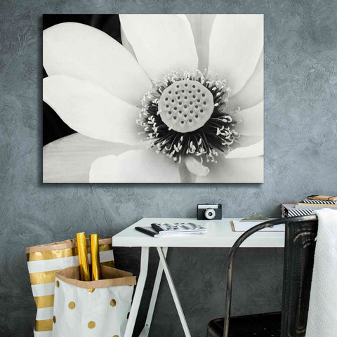 Image of 'Lotus Flower IV' by Debra Van Swearingen, Canvas Wall Art,34 x 26