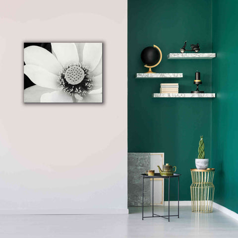 Image of 'Lotus Flower IV' by Debra Van Swearingen, Canvas Wall Art,34 x 26