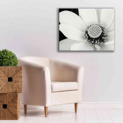 Image of 'Lotus Flower IV' by Debra Van Swearingen, Canvas Wall Art,34 x 26
