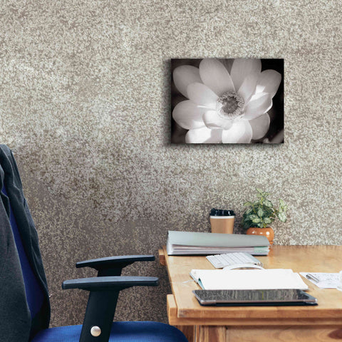 Image of 'Lotus Flower V' by Debra Van Swearingen, Canvas Wall Art,16 x 12