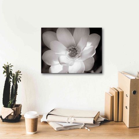 Image of 'Lotus Flower V' by Debra Van Swearingen, Canvas Wall Art,16 x 12