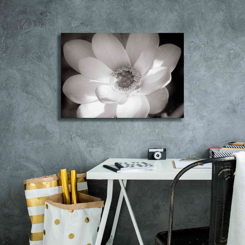 Image of 'Lotus Flower V' by Debra Van Swearingen, Canvas Wall Art,26 x 18
