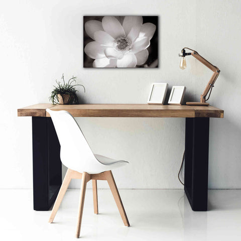 Image of 'Lotus Flower V' by Debra Van Swearingen, Canvas Wall Art,26 x 18