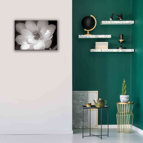 Image of 'Lotus Flower V' by Debra Van Swearingen, Canvas Wall Art,26 x 18
