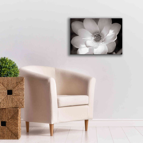 Image of 'Lotus Flower V' by Debra Van Swearingen, Canvas Wall Art,26 x 18