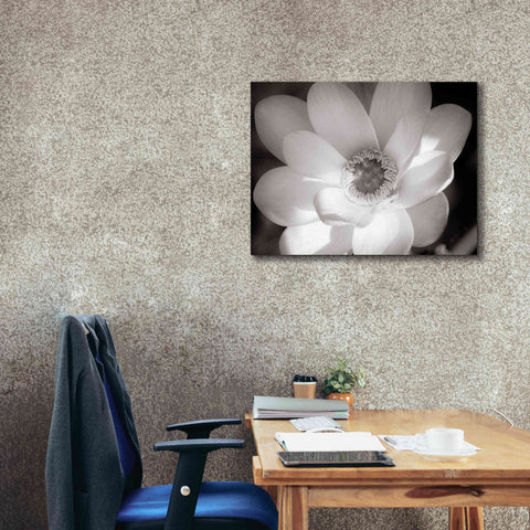 Image of 'Lotus Flower V' by Debra Van Swearingen, Canvas Wall Art,34 x 26