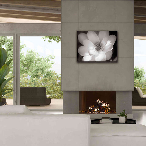 Image of 'Lotus Flower V' by Debra Van Swearingen, Canvas Wall Art,34 x 26