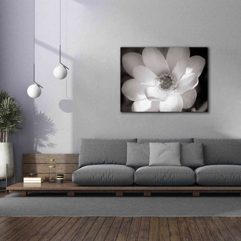 Image of 'Lotus Flower V' by Debra Van Swearingen, Canvas Wall Art,54 x 40