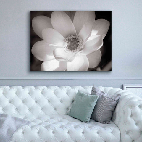 Image of 'Lotus Flower V' by Debra Van Swearingen, Canvas Wall Art,54 x 40