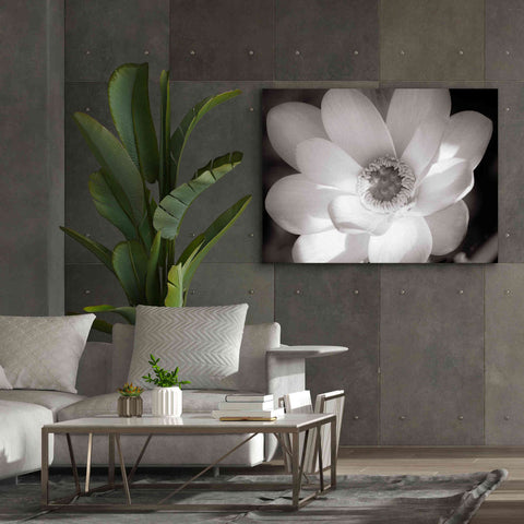 Image of 'Lotus Flower V' by Debra Van Swearingen, Canvas Wall Art,54 x 40