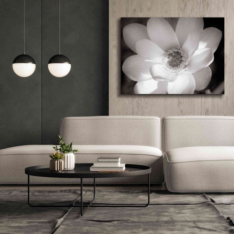 Image of 'Lotus Flower V' by Debra Van Swearingen, Canvas Wall Art,54 x 40
