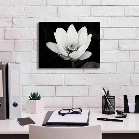 Image of 'Lotus Flower I v2' by Debra Van Swearingen, Canvas Wall Art,16 x 12