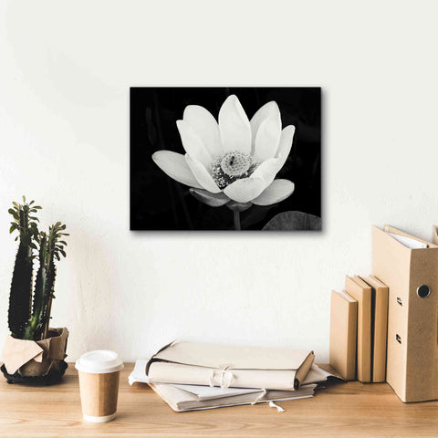 Image of 'Lotus Flower I v2' by Debra Van Swearingen, Canvas Wall Art,16 x 12