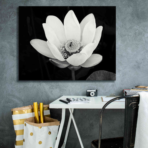 Image of 'Lotus Flower I v2' by Debra Van Swearingen, Canvas Wall Art,34 x 26