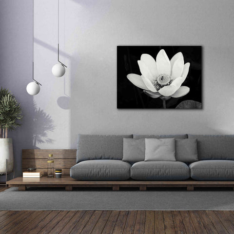 Image of 'Lotus Flower I v2' by Debra Van Swearingen, Canvas Wall Art,54 x 40