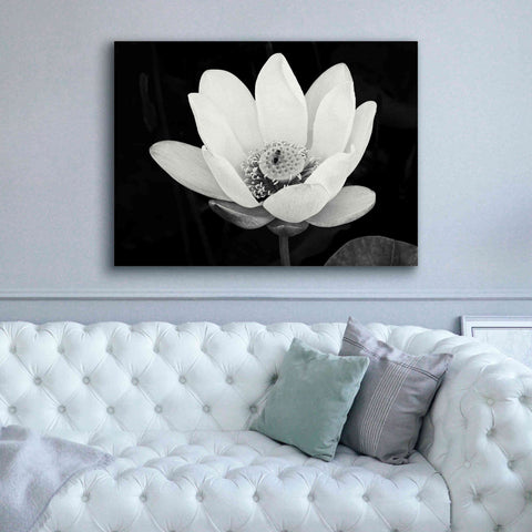Image of 'Lotus Flower I v2' by Debra Van Swearingen, Canvas Wall Art,54 x 40
