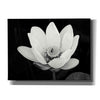 'Lotus Flower I v2' by Debra Van Swearingen, Canvas Wall Art,16x12x1.1x0,26x18x1.1x0,34x26x1.74x0,54x40x1.74x0