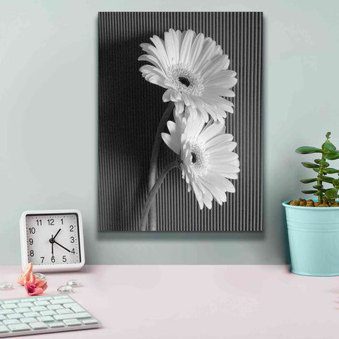 Image of 'Fresh Cut Daisy I' by Debra Van Swearingen, Canvas Wall Art,12 x 16