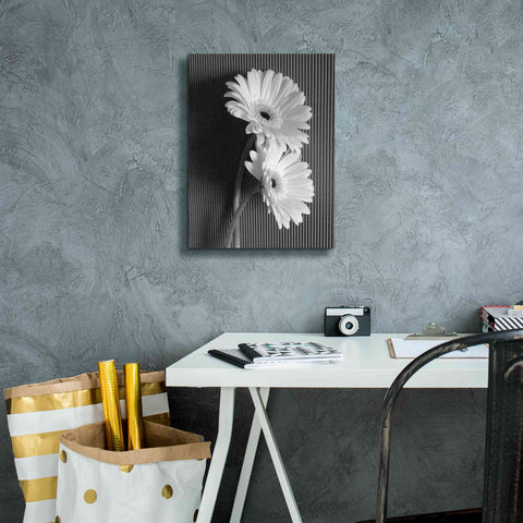 Image of 'Fresh Cut Daisy I' by Debra Van Swearingen, Canvas Wall Art,12 x 16