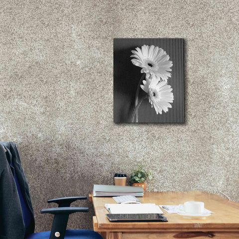 Image of 'Fresh Cut Daisy I' by Debra Van Swearingen, Canvas Wall Art,20 x 24