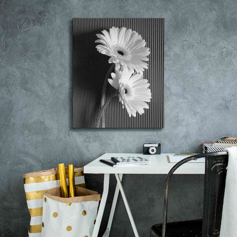 Image of 'Fresh Cut Daisy I' by Debra Van Swearingen, Canvas Wall Art,20 x 24