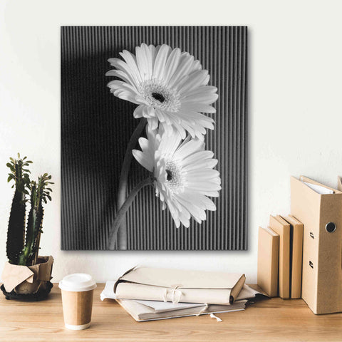 Image of 'Fresh Cut Daisy I' by Debra Van Swearingen, Canvas Wall Art,20 x 24