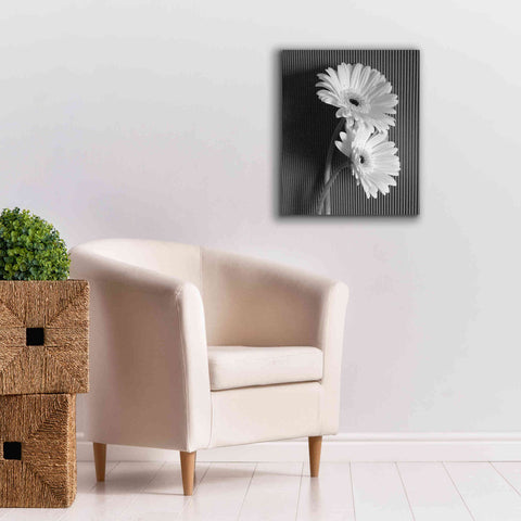 Image of 'Fresh Cut Daisy I' by Debra Van Swearingen, Canvas Wall Art,20 x 24