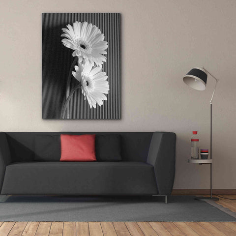 Image of 'Fresh Cut Daisy I' by Debra Van Swearingen, Canvas Wall Art,40 x 54