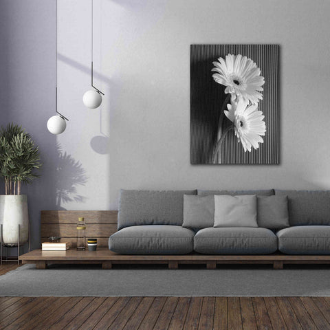 Image of 'Fresh Cut Daisy I' by Debra Van Swearingen, Canvas Wall Art,40 x 54